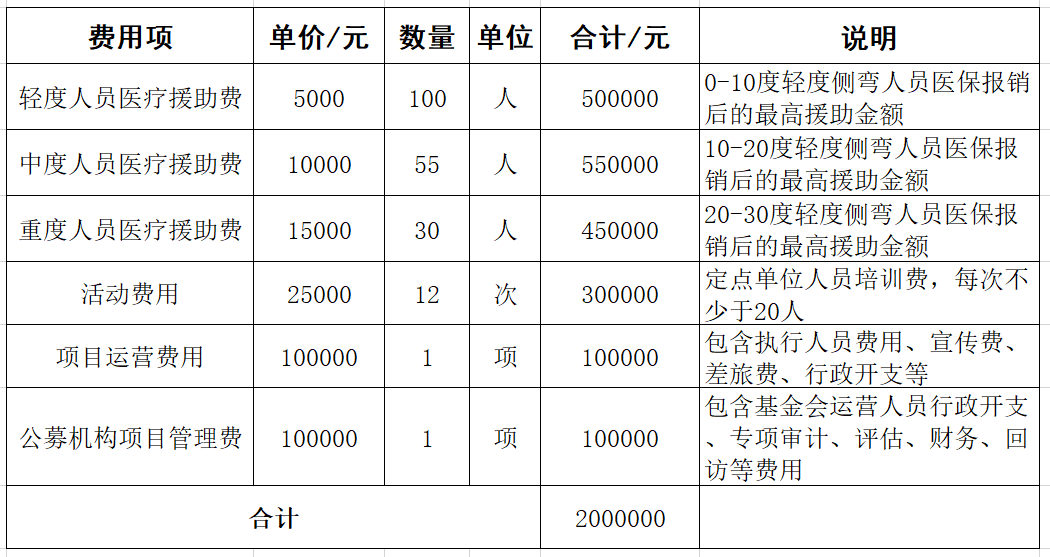 挺起爱的脊梁预算表.png